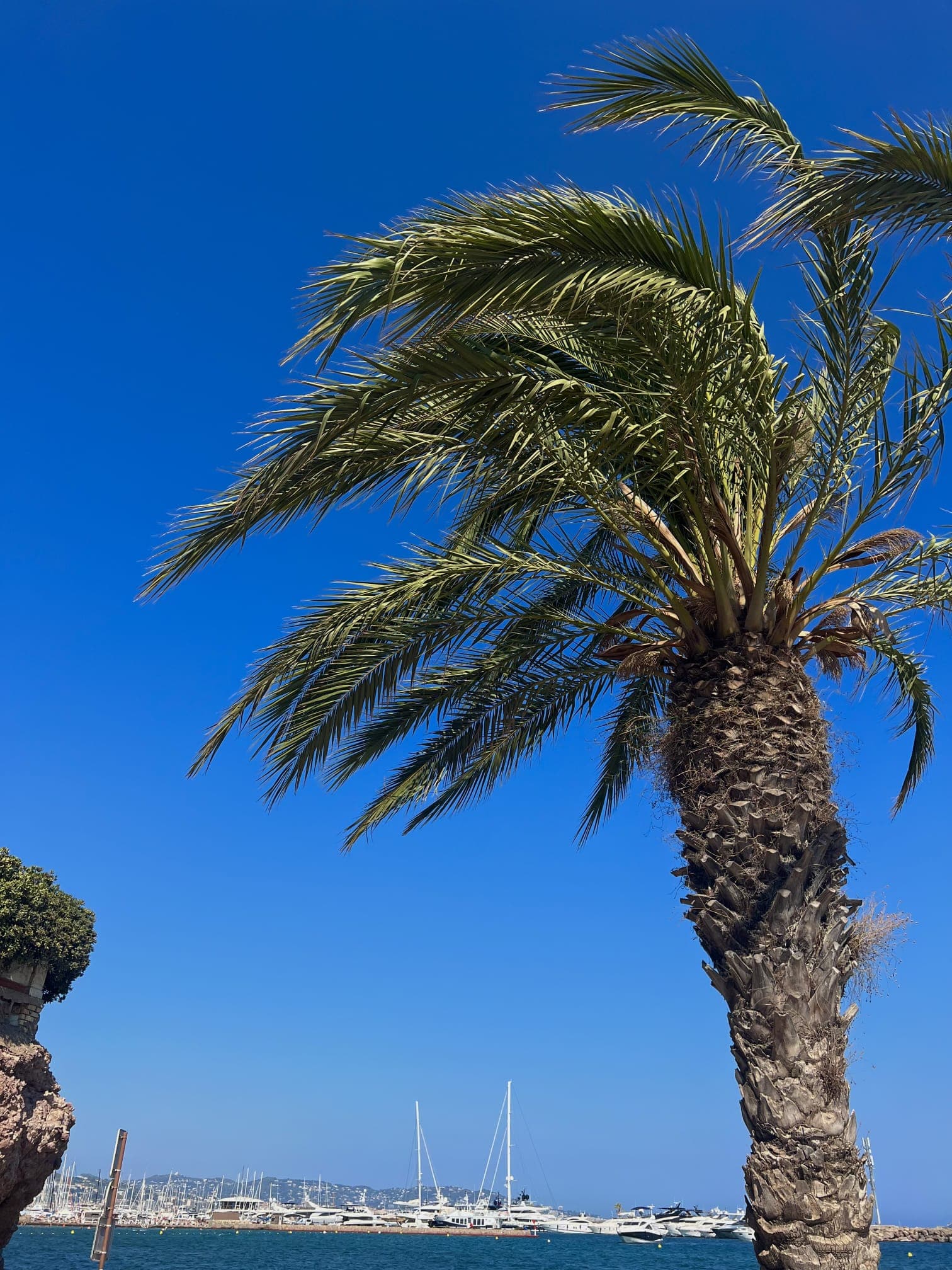 Venice Monaco Private Car — Adriatic to Mediterranean in Style
