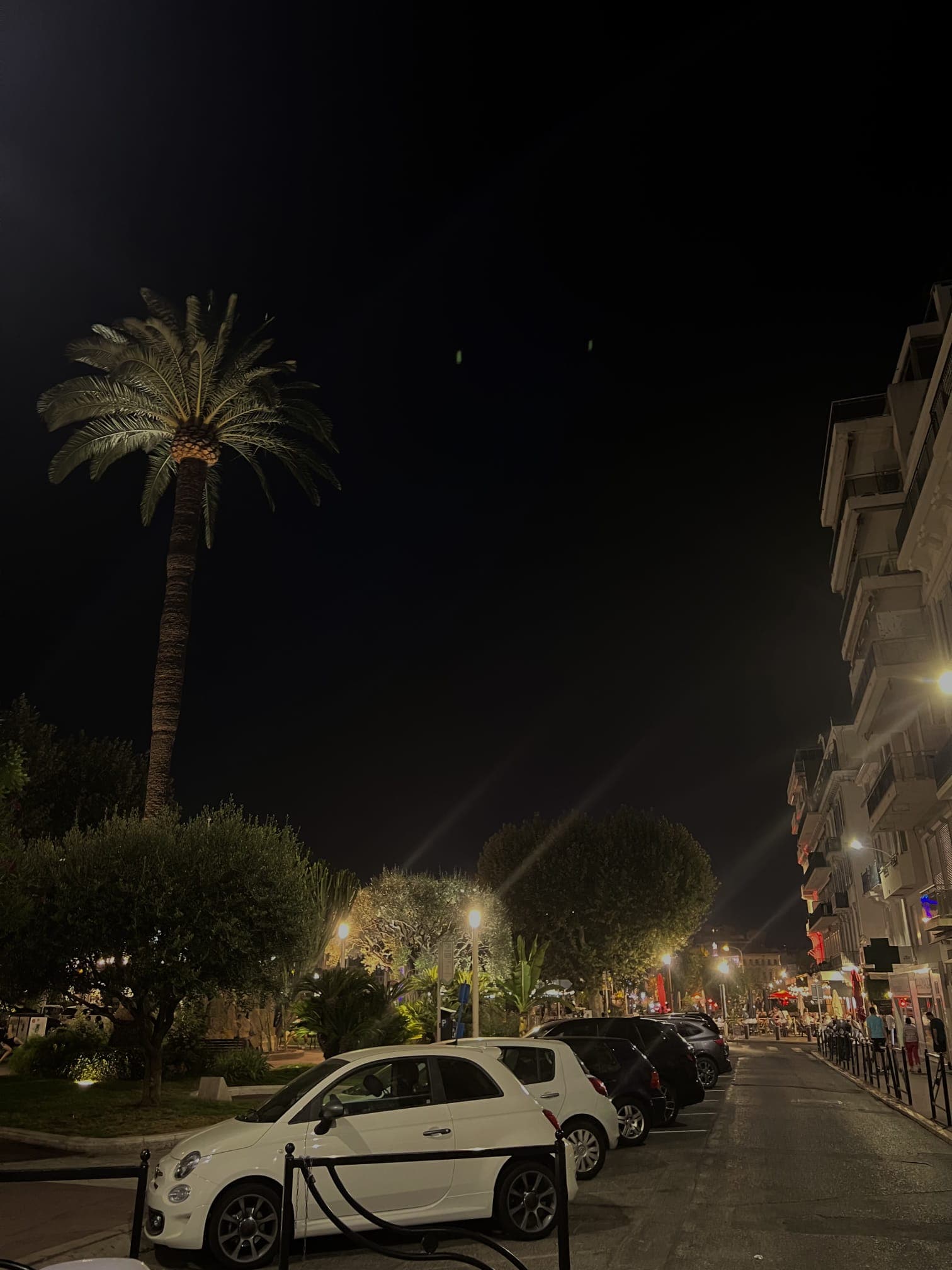Monaco Luxury Shopping Districts — Chauffeur for the Ultimate Boutique Tour